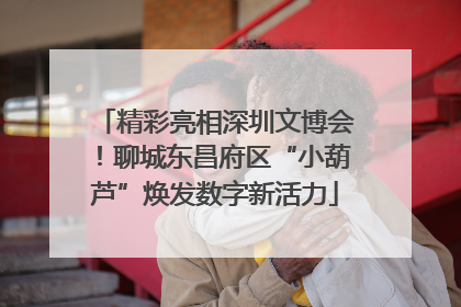 精彩亮相深圳文博会！聊城东昌府区“小葫芦”焕发数字新活力
